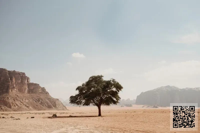 中國企業發展協會有限公司