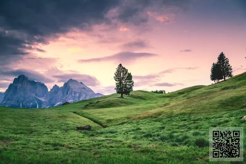 香港順邦科技有限公司
