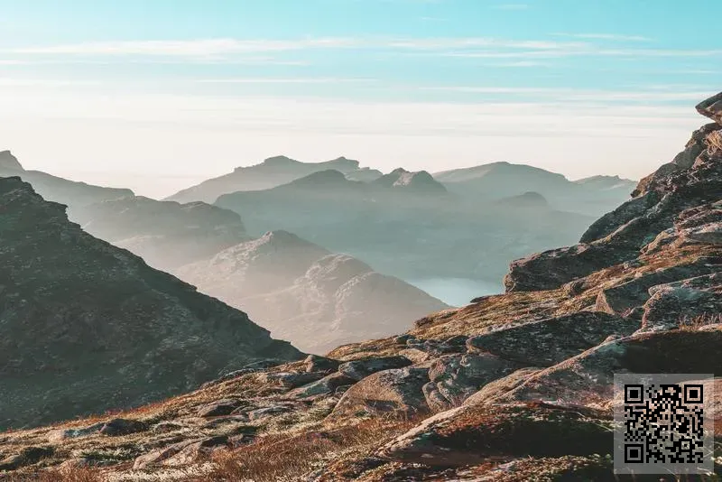 GLOBAL METALS TRADING LIMITED