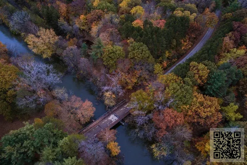 LOTUS GOLD SHIPPING LIMITED