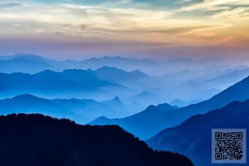 振興園藝有限公司