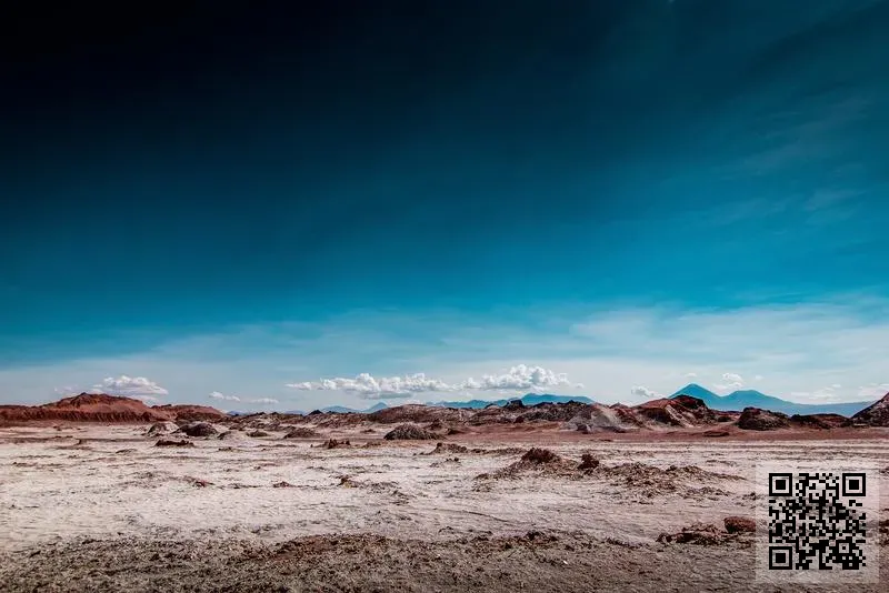 福建林森進出口有限公司