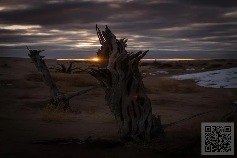 喜馬拉雅工藝品有限公司