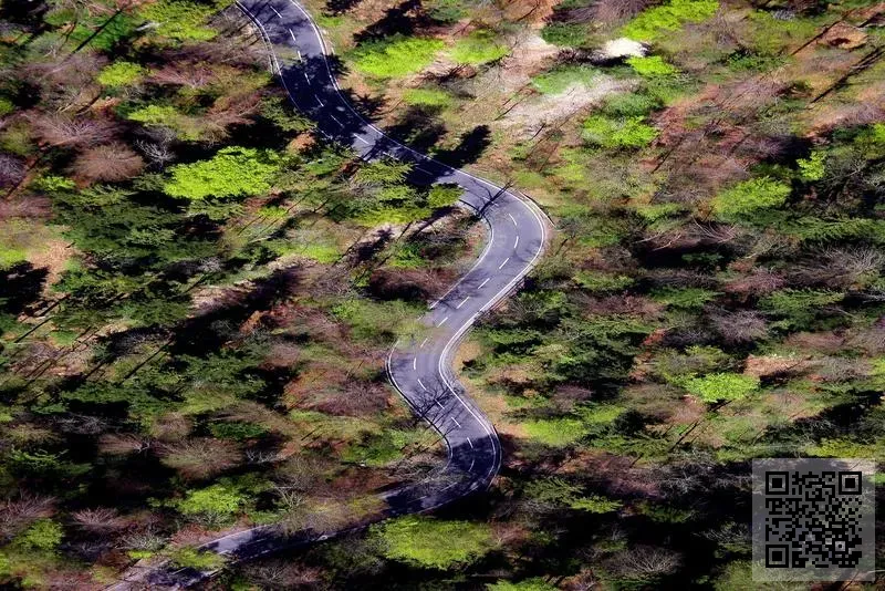 Toys L Factory Company Limited