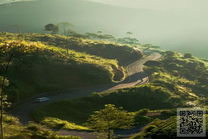 PANTHEON ADVISORY LIMITED