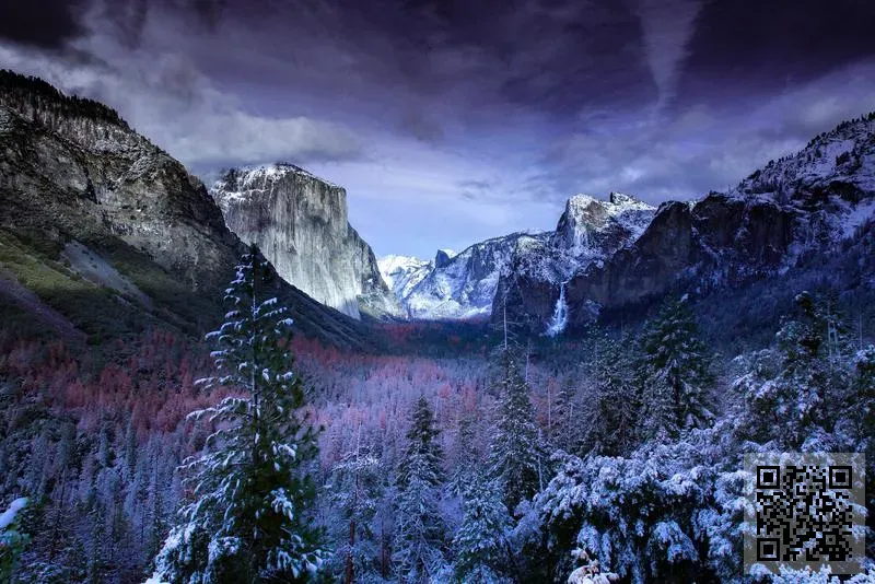 佛山市科森建陶有限公司