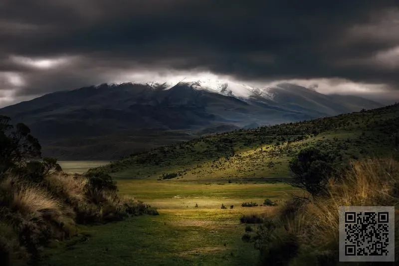 LADIES AND GENTLEMEN LIMITED