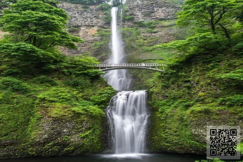 型養堂有限公司