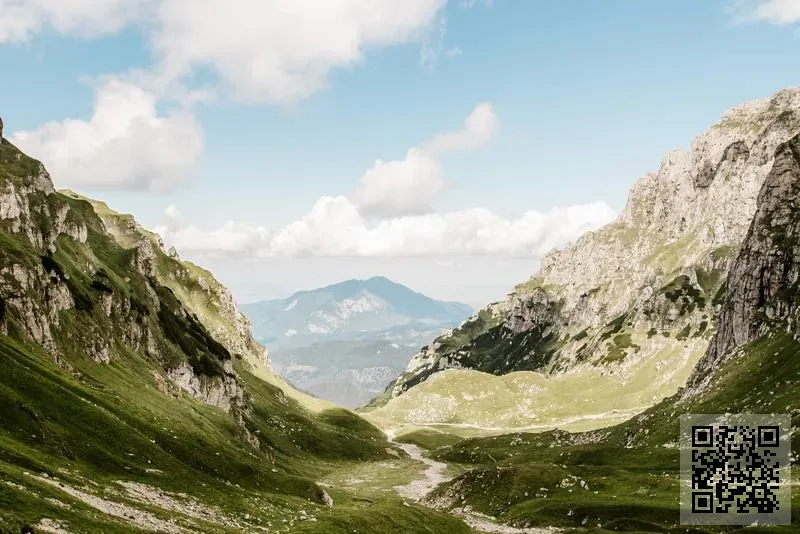 星悦國際(控股)有限公司