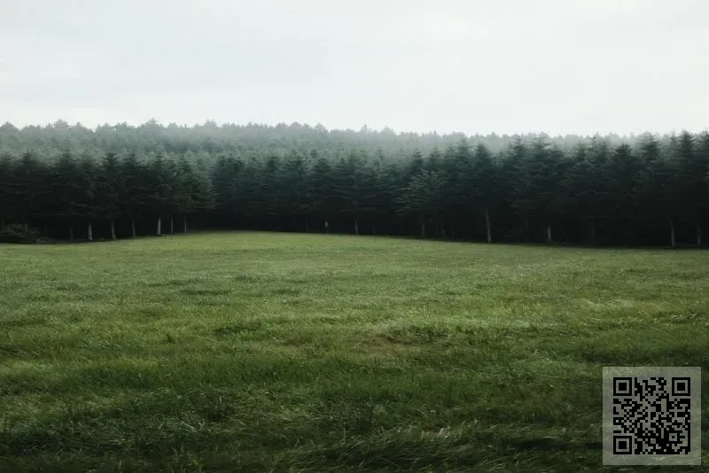 鉦烽物流投資有限公司