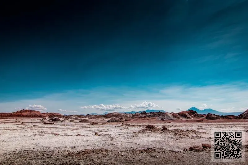 西部資源有限公司