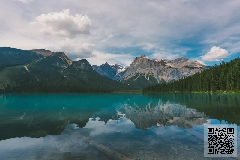 薇姿(上海)生物科技有限公司