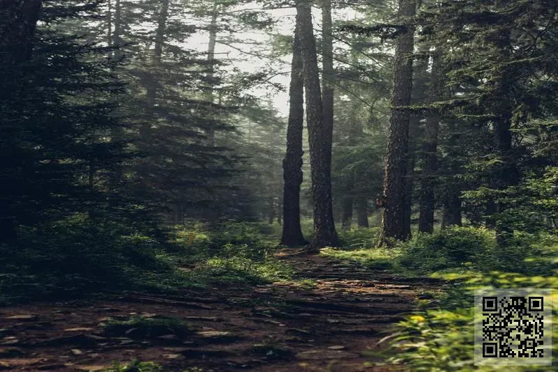 公司註冊編號 1360519 有限公司