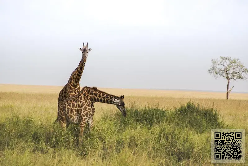 添元集團有限公司