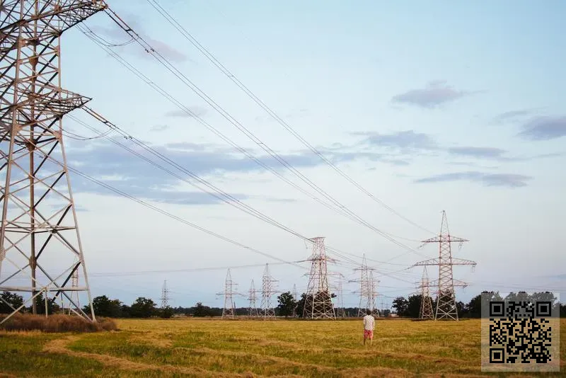 中國華民長青集團有限公司