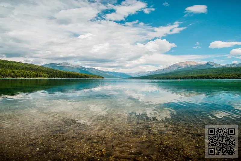 雅藝國際有限公司