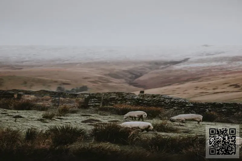 華莉萊服飾有限公司