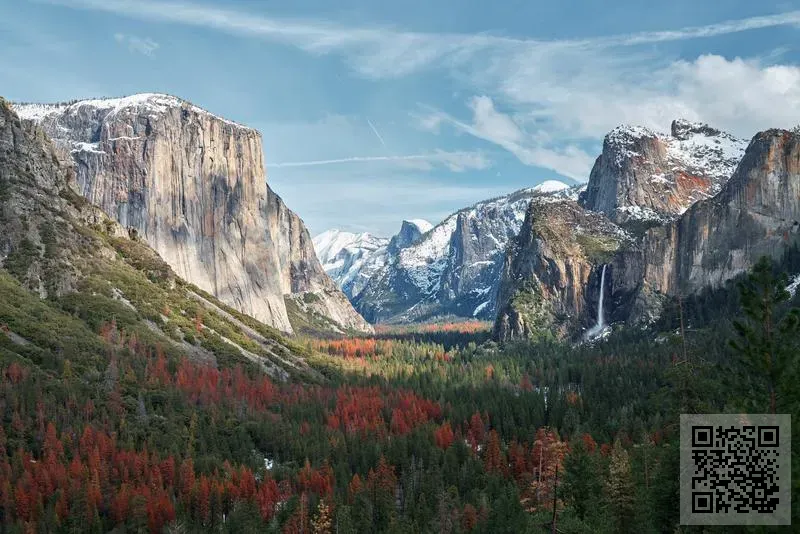 Elizabeth Wines Limited