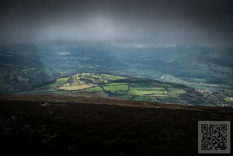 INTEGRATED PROJECT DELIVERY LIMITED