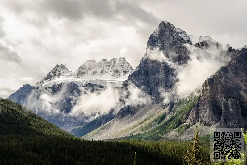 維特耐爾科技有限公司
