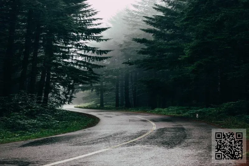 天儀發展有限公司