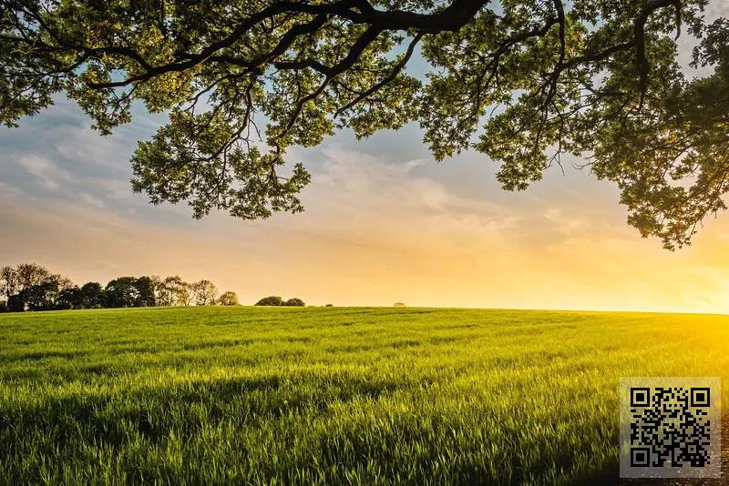 Genomicare Holdings Co. Limited