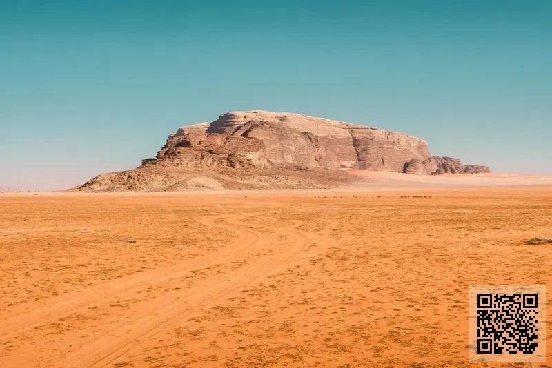 柏維特科技有限公司