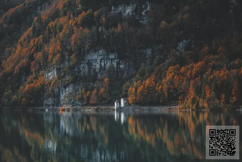 上海黑貓神話股份有限公司