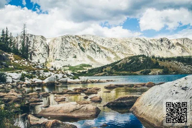 Dynamik Trading Limited