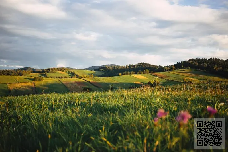 匯智國際諮詢有限公司