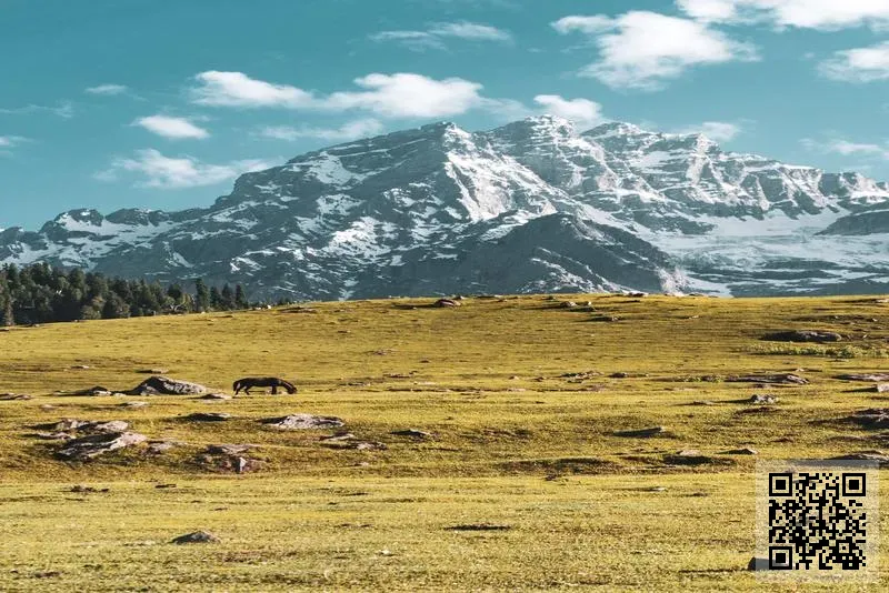 香港鑫晨集團有限公司