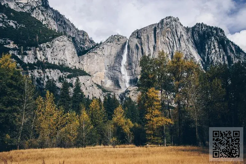 Ameritrans International Logistics Co., Limited