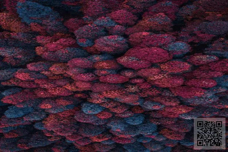 萬機科技工程有限公司