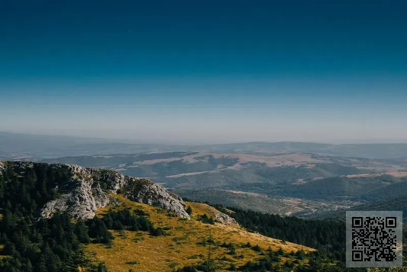 香港宏月貿易有限公司
