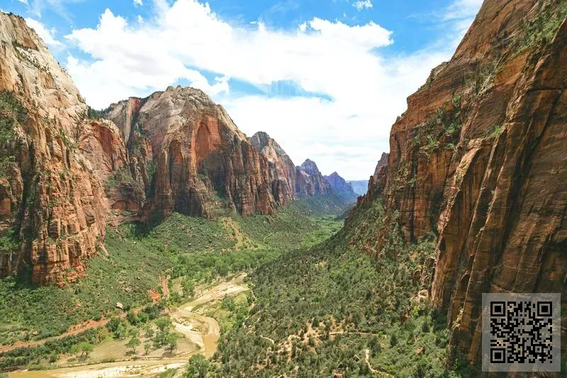 鉅星國際旅遊有限公司