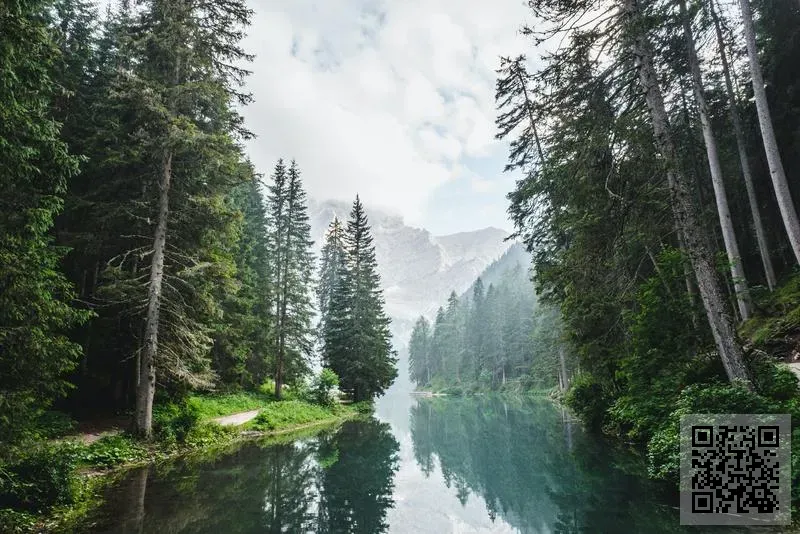 域絡實業有限公司