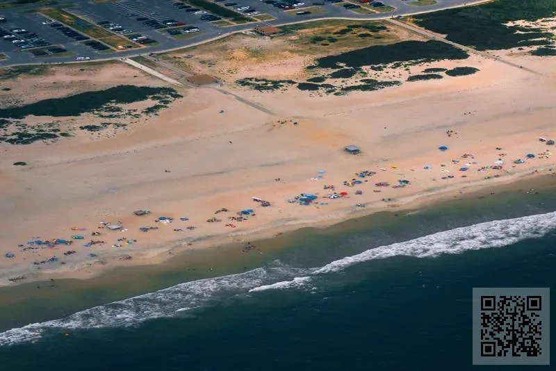 美和菜業有限公司