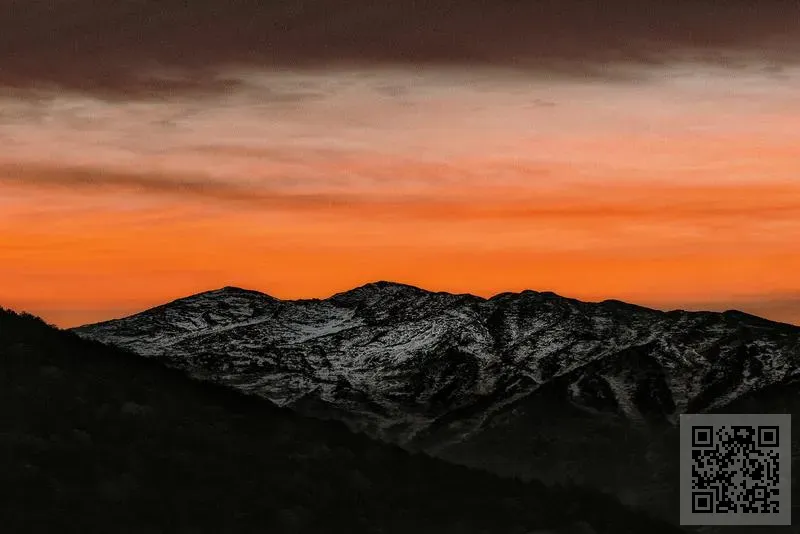 GOLDEN STREET INVESTMENT LIMITED