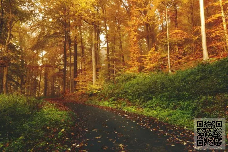 羅博蓋斯企業有限公司