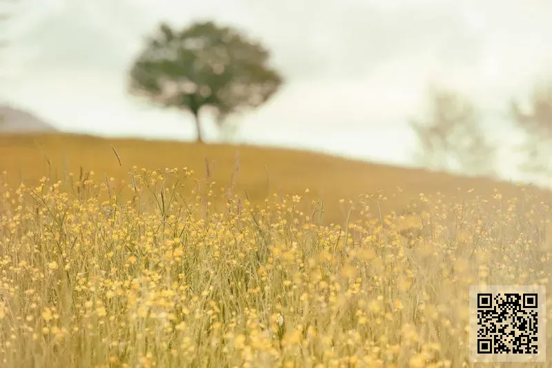 香港金麗典家具(國際)集團有限公司