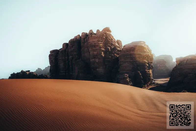 香港新海國際貿易有限公司