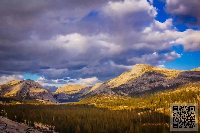 奇特發展有限公司