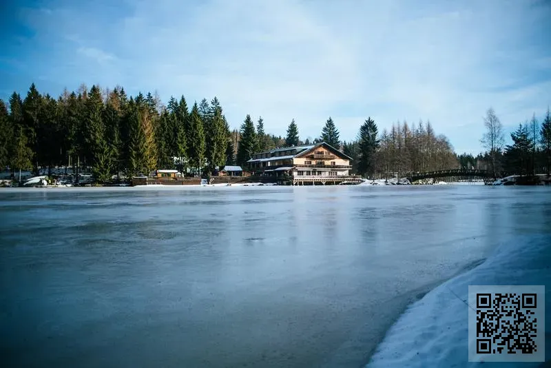 Consultants Hong Kong Limited