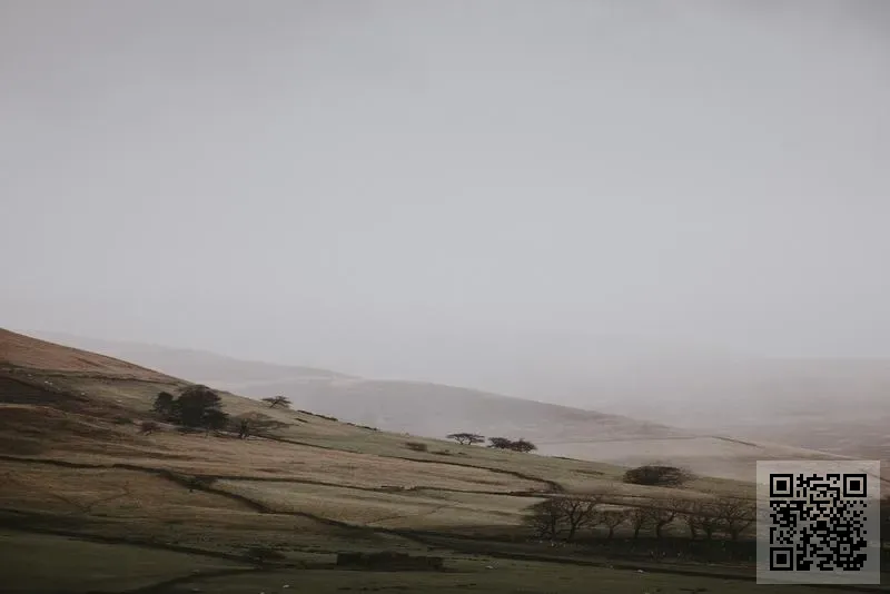 Wintec Industries China Holdings Limited