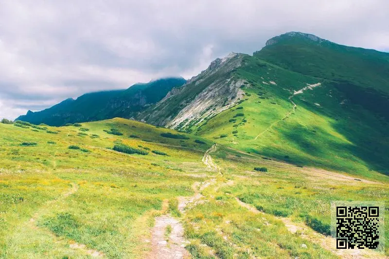 英國尼爵(香港)國際服飾有限公司