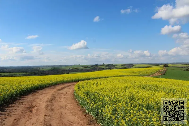 恒成香港發展有限公司
