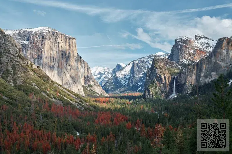 香港波鴻實業有限公司