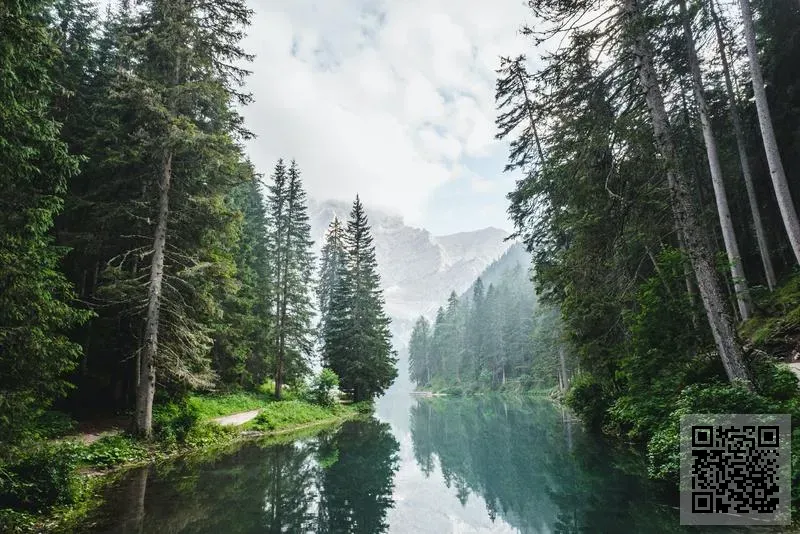 強華製作有限公司