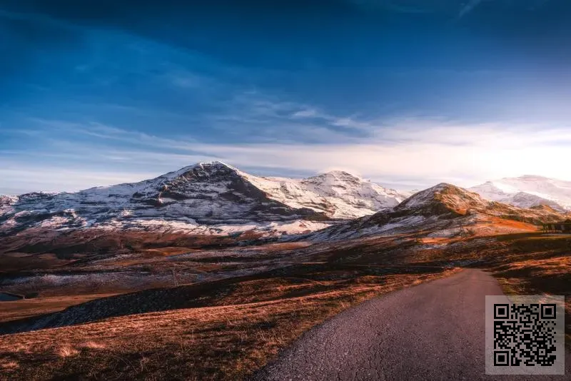 歐歐國際集團有限公司