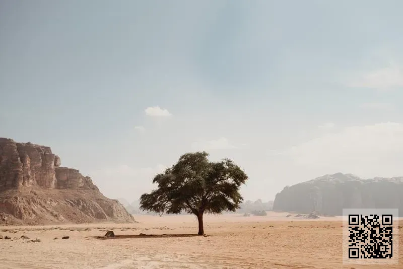 FO SOLUTION COMPANY LIMITED